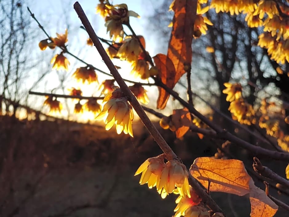 Il Casolare del Medio Olona