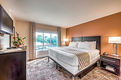 King Room with Sofa Bed
