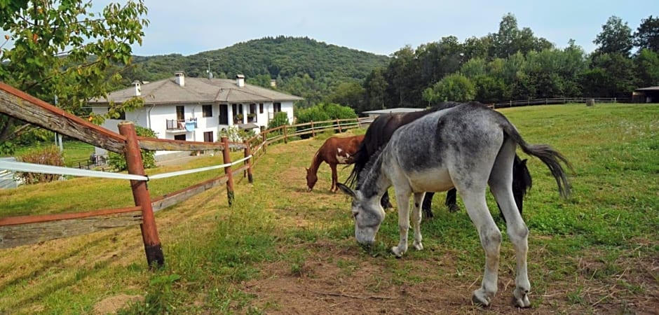Favetto Family Ranch