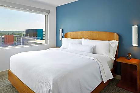 Executive Suite, 1 King, Sofa bed