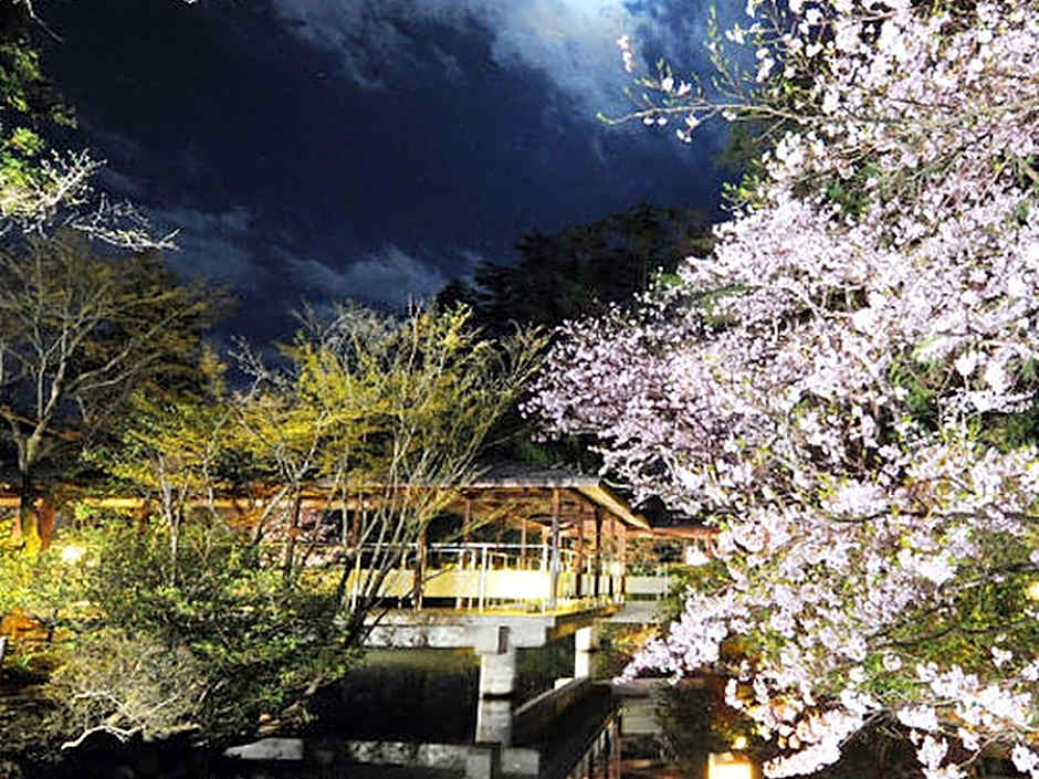 Ryokan Matsusaki