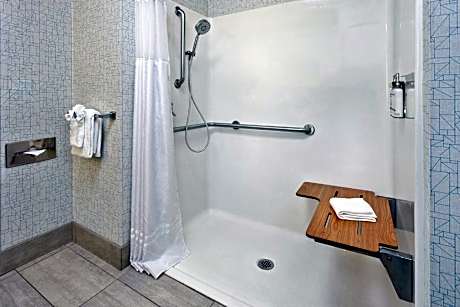 King Room - Disability Access Roll in Shower