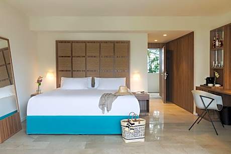 Junior Suite Garden or Mountain View (1 King Bed)