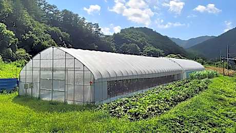 Uljin Wangpicheon Healing Farm