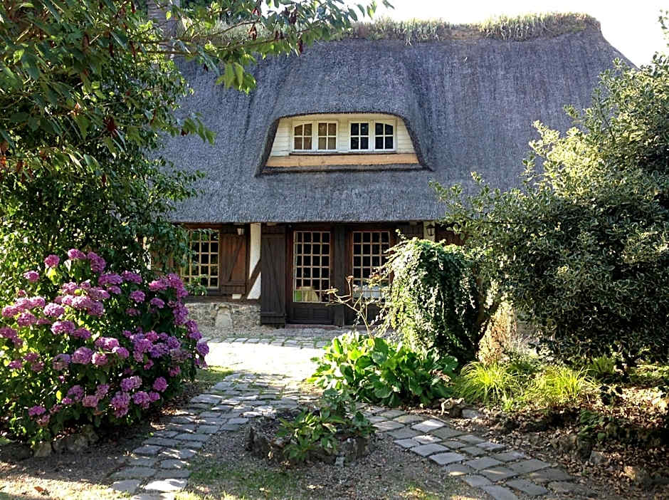 Le Petit Coq aux Champs - Teritoria