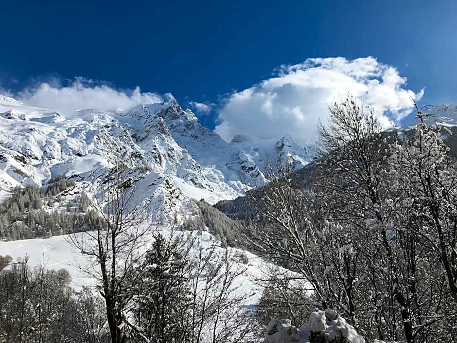 Hôtel des Alpes - Skiers & Bikers Lodge