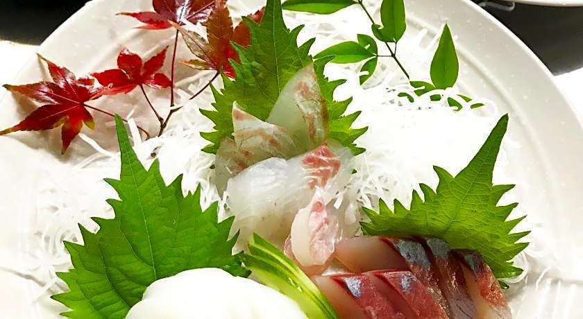 Shodoshima Olive Youth Hostel