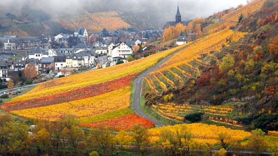 Apartment Happy Mosel