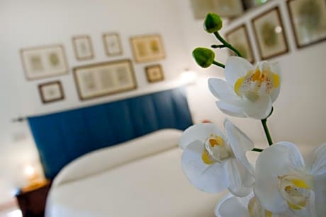 Il Glicine - sul Golfo