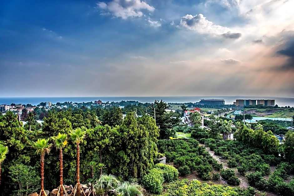 Sunrise Hotel Jungmun