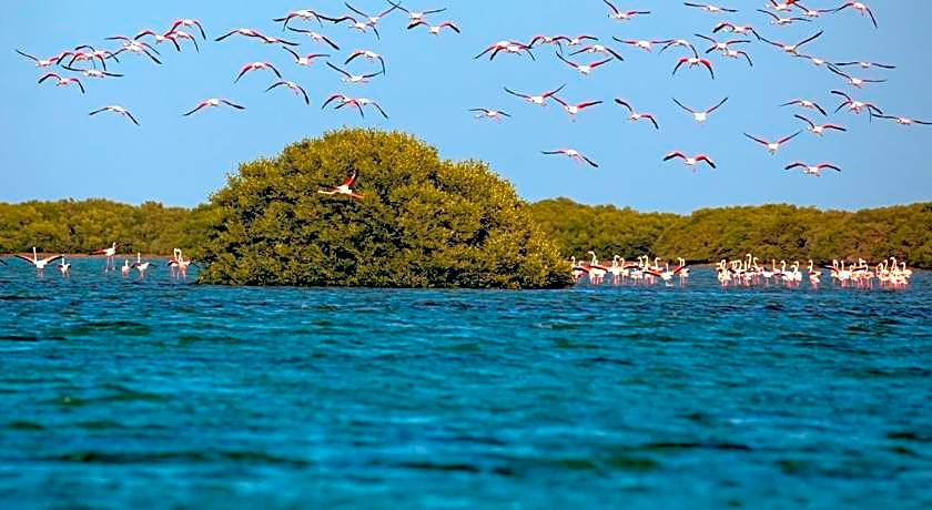 Flamingo Beach Hotel