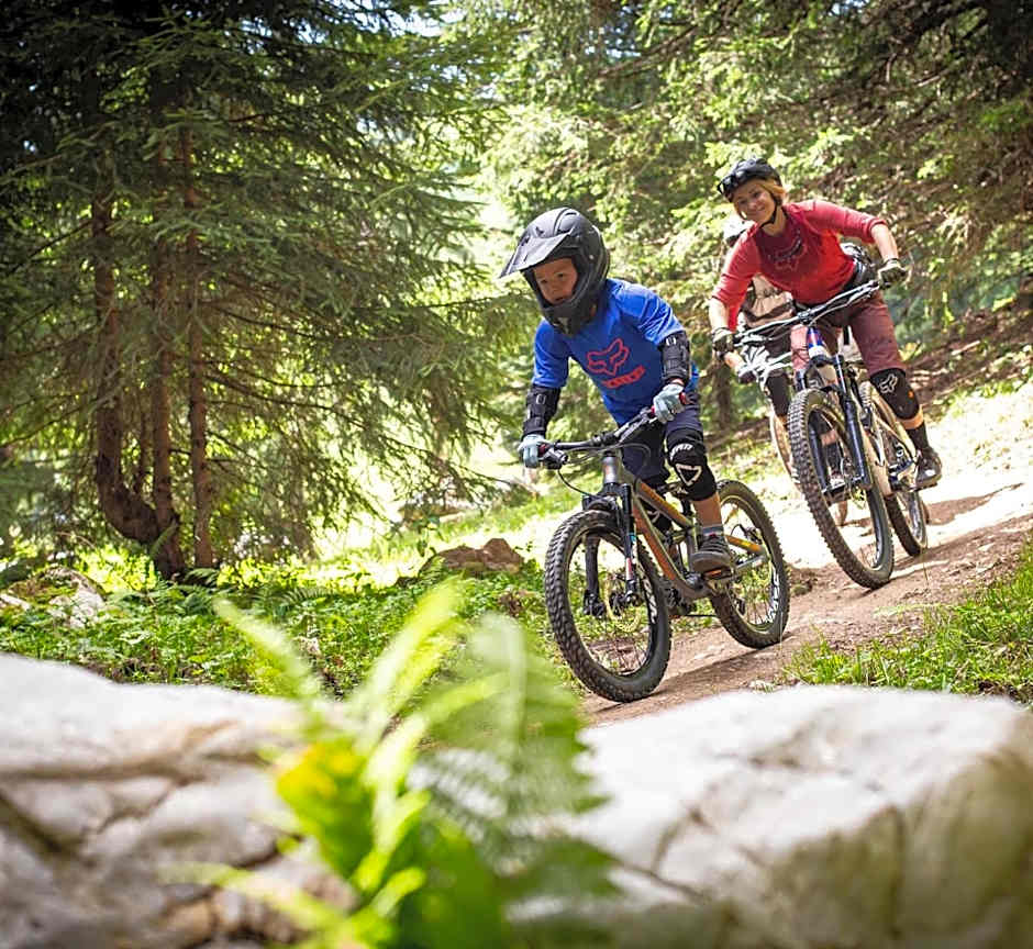 Hotel Gasthaus Schäfle