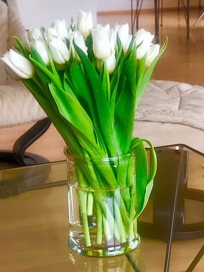 smart&beautiful Guesthouse