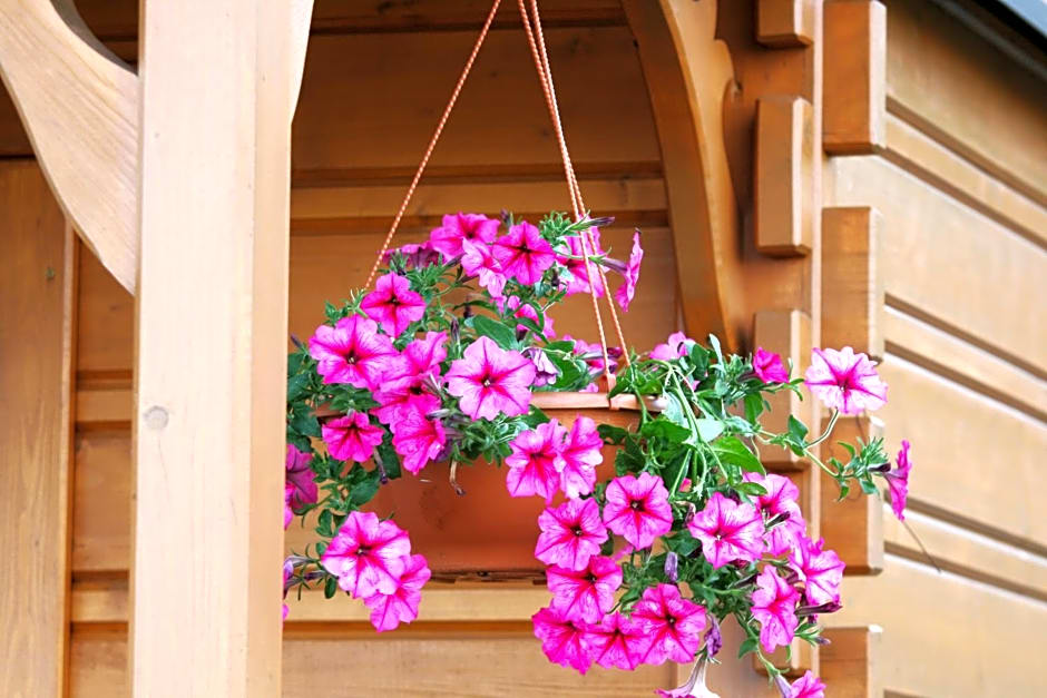 Domki letniskowe w Pieninach