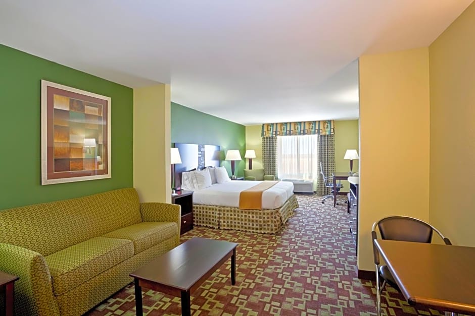 Holiday Inn Express Hotel & Suites Dumas