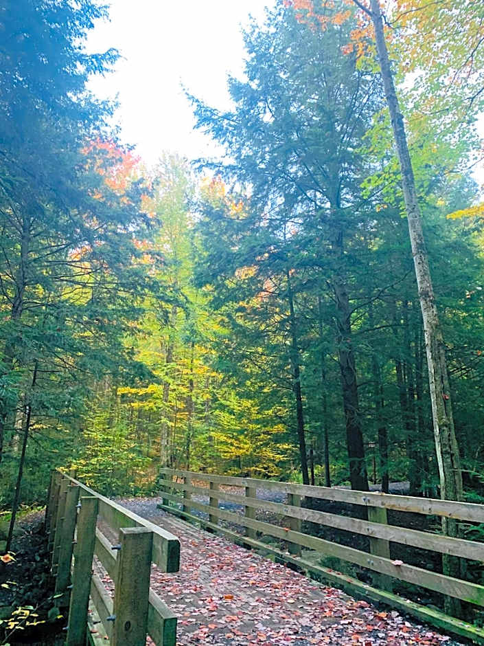 Au Gré Du Temps - Gîte B&B