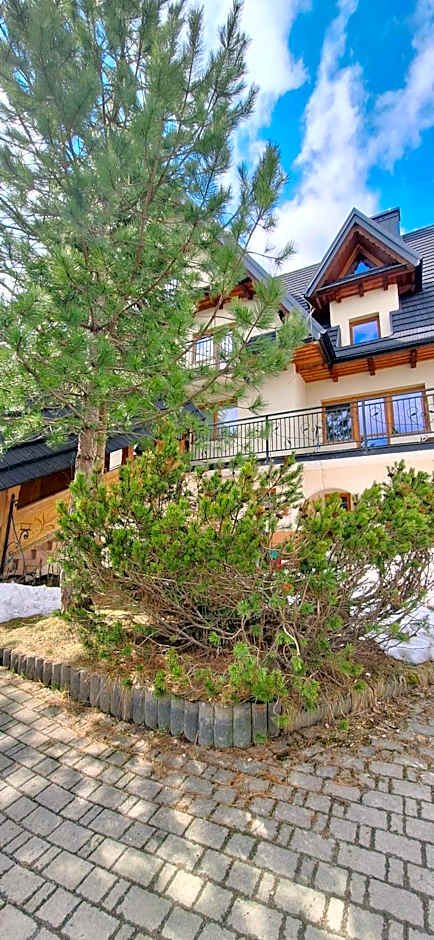 Willa u Kośle Zakopane sauna i bilard