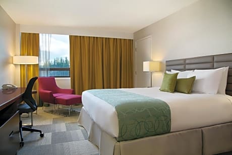 Coast King (Non-Pet Friendly) 