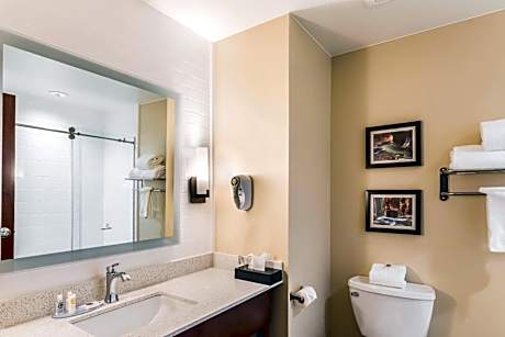 King Suite - Non-Smoking