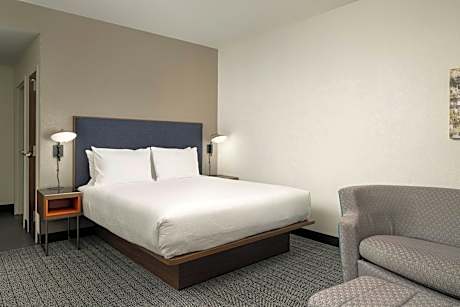 Room, 1 King Bed with Sofa bed (1 King Bed and 1 Double Sofa Bed)