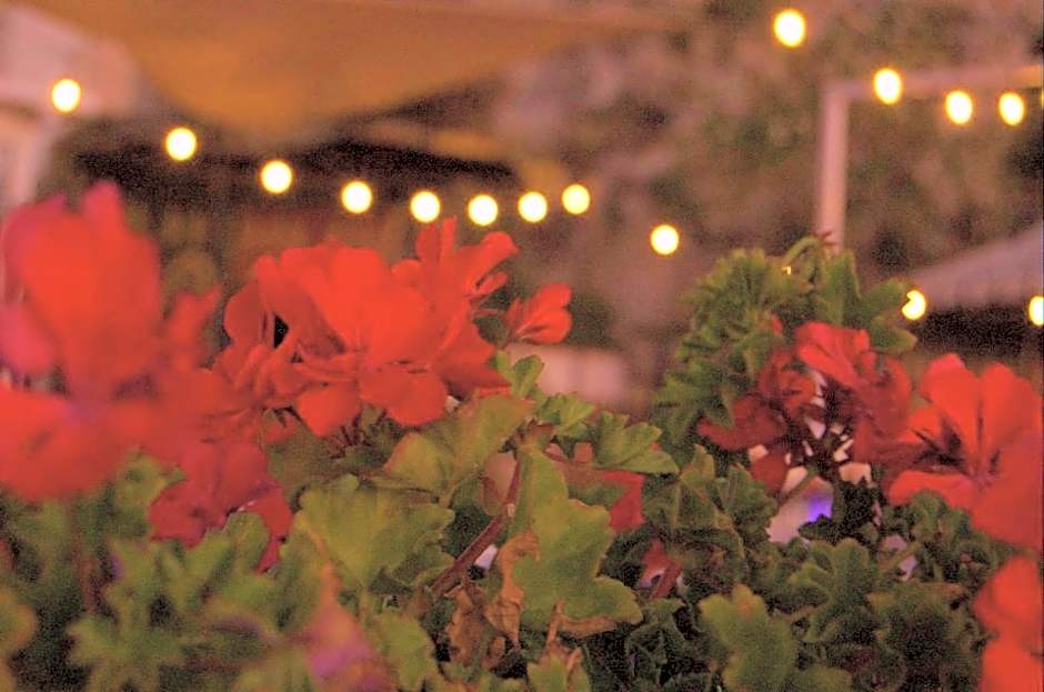 Bellevue del Golfo Hotel & Spa