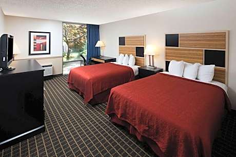 Double Room with Two Double Beds