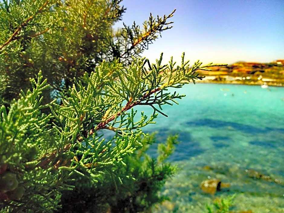 Le stanze del mare