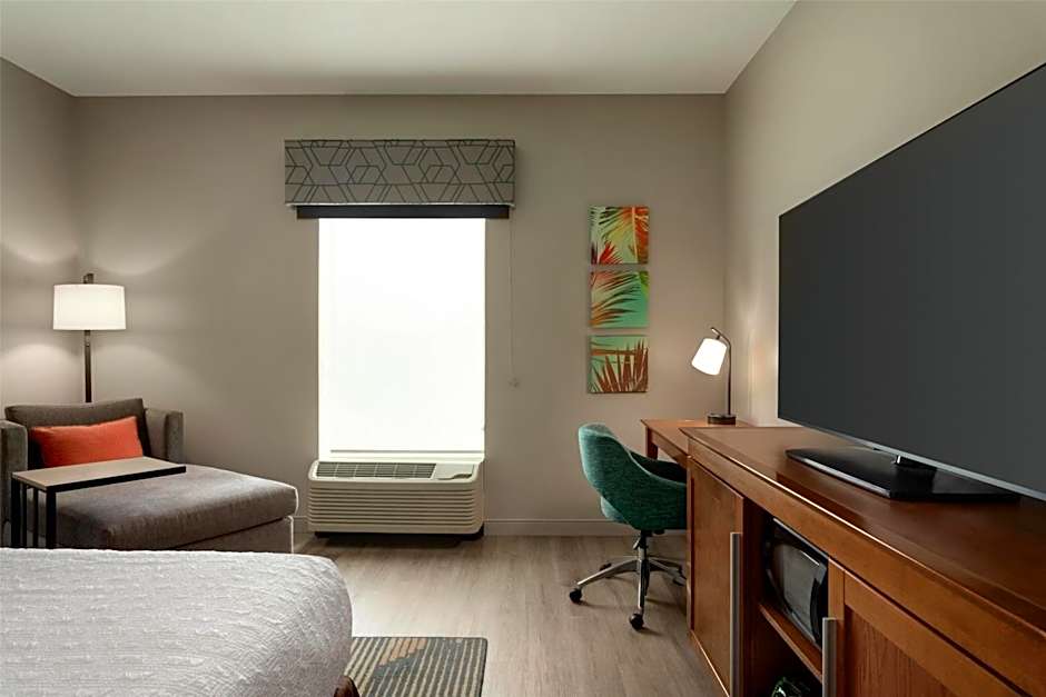 Hampton Inn - Suites by Hilton Tampa Busch Gardens Area