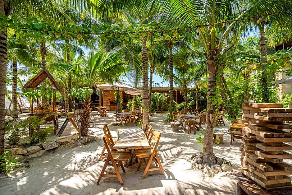 Mayan Monkey Isla Mujeres - Social Hotel