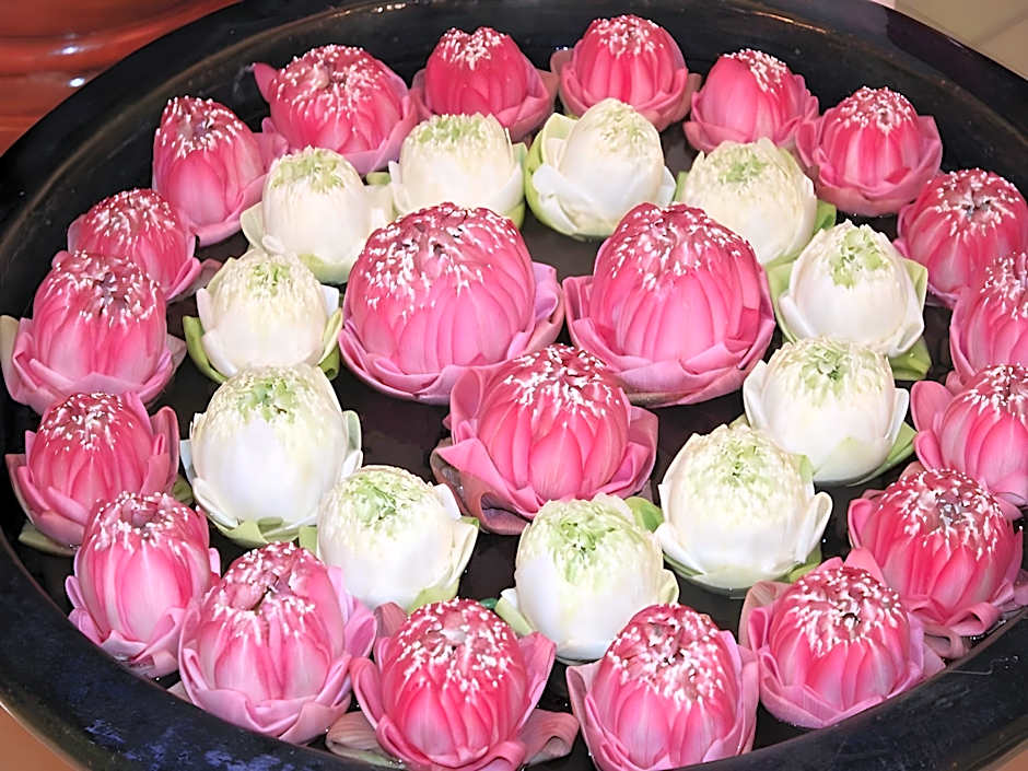 Nawin Palace Guesthouse