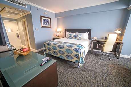 Deluxe 1-Bedroom Suite