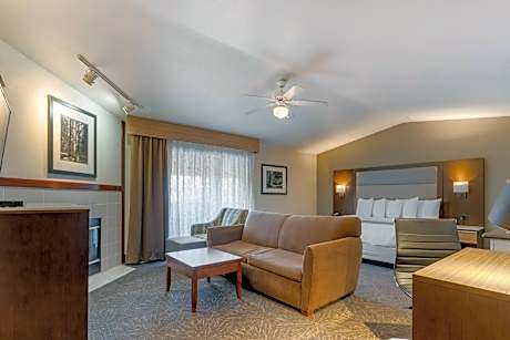 1 King Mobility Accessible Roll In Shower Executive Room Sofabed Non-Smoking Full Breakfast