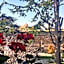 Family Hotel St Stefan Nessebar