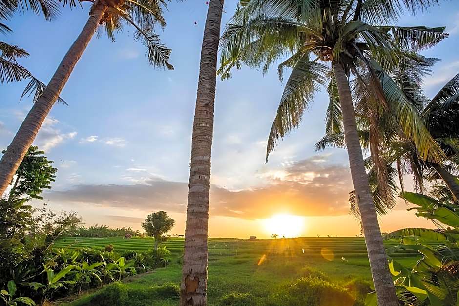 AmantraNa Canggu
