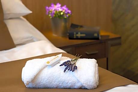 Double or Twin Room with Mountain View