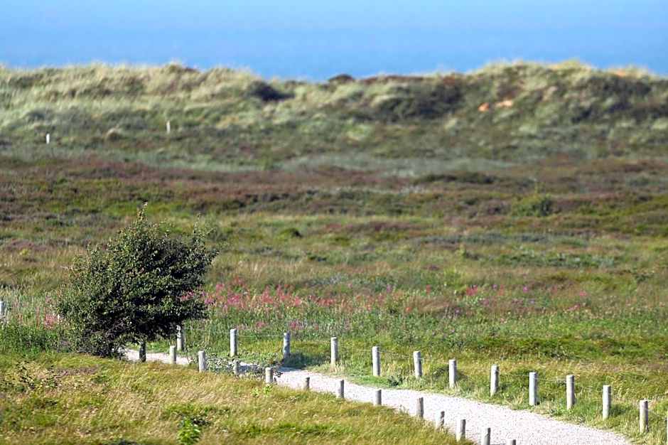 Landhaus Severin's Morsum Kliff