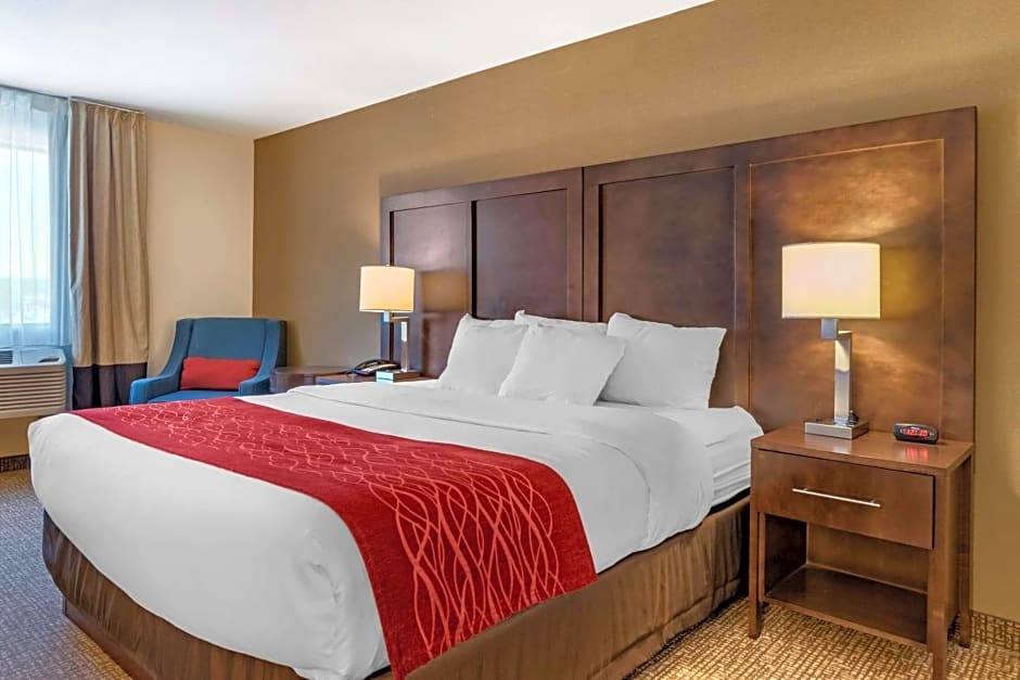 Comfort Inn Williamsport