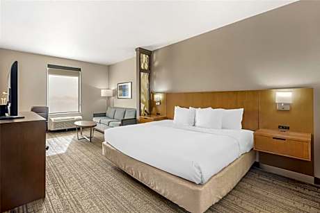 Best Western Green Oak Inn & Suites