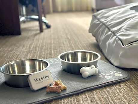 Hospitality Suite, Hospitality Suite