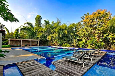 The Celebration Van Vilas