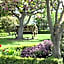 Alexandra Garden Court Motel