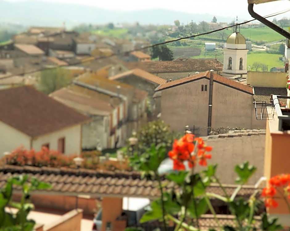 Domus Tua