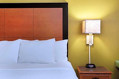 1 King Bed, One-Bedroom Apartment, Non-Smoking