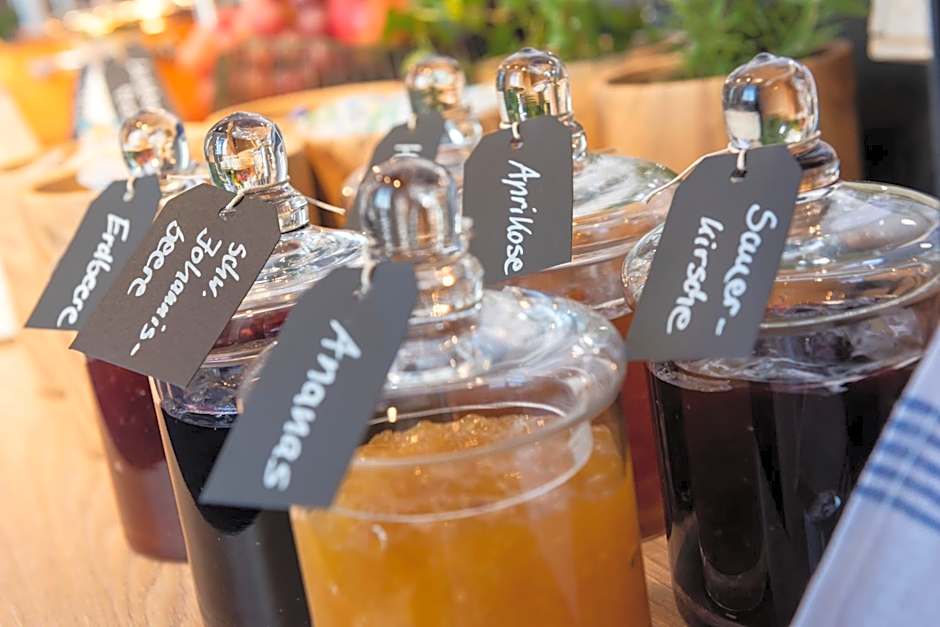 Ibis Styles Dresden Neustadt Hotel