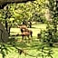 Jock of the Bushveld