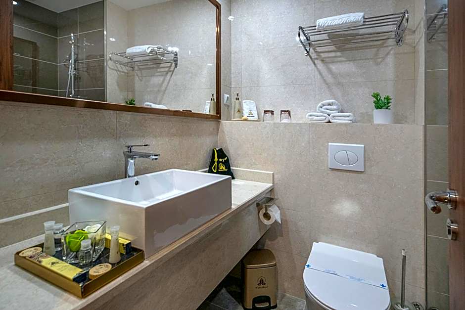 Willis Hotel Business & Wellness