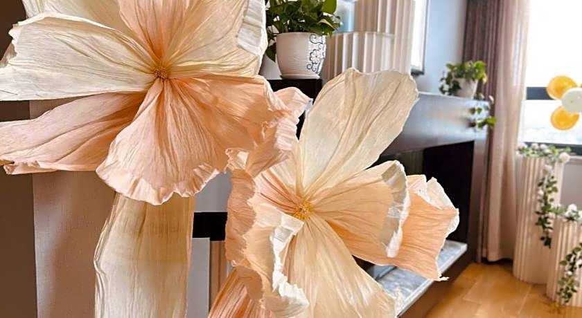 Shama Daqing Heilongjiang