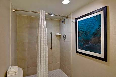 One-Bedroom Queen Suite with Roll-In Shower - Mobility Accessible/Non-Smoking