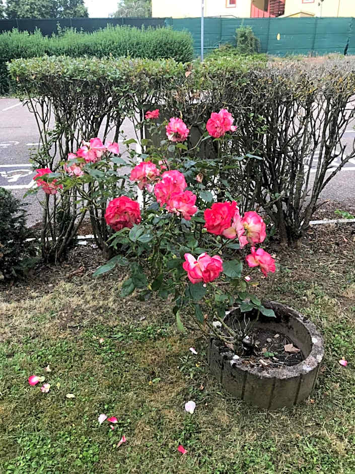 Hotel Premiere Classe Metz Nord - Talange