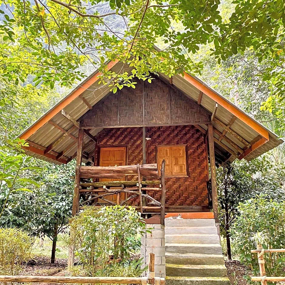 Khao Sok Green Mountain View